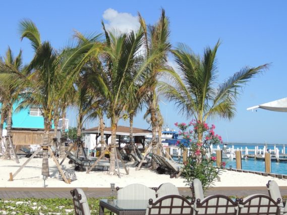 Rates and Amenities - Brown's Marina in Bimini